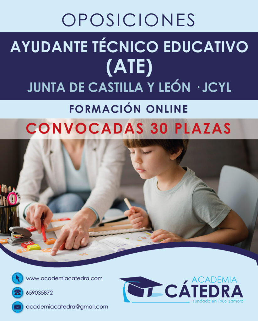 ATE, AYUDANTE TECNICO EDUCATIVO TECNICO APOYO EDUCACION DISCAPACIDAD AYUDA CUIDADOS
